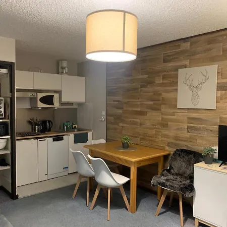 De 32 M2 Pour 3 Personnes Pied Des Pistes