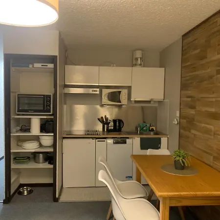 De 32 M2 Pour 3 Personnes Pied Des Pistes Les Deux Alpes