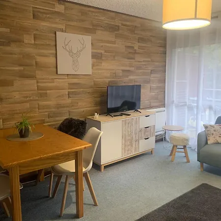 De 32 M2 Pour 3 Personnes Pied Des Pistes * Les Deux Alpes