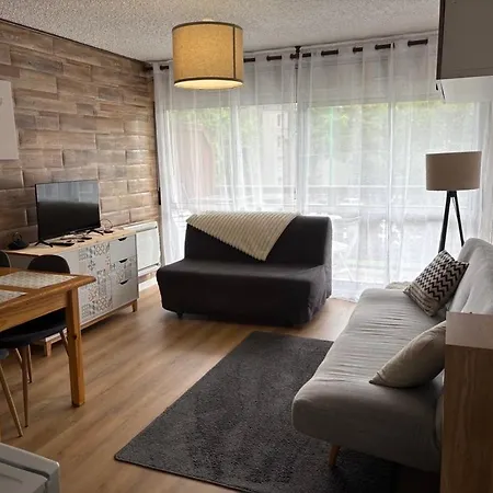 De 32 M2 Pour 3 Personnes Pied Des Pistes * Les Deux Alpes
